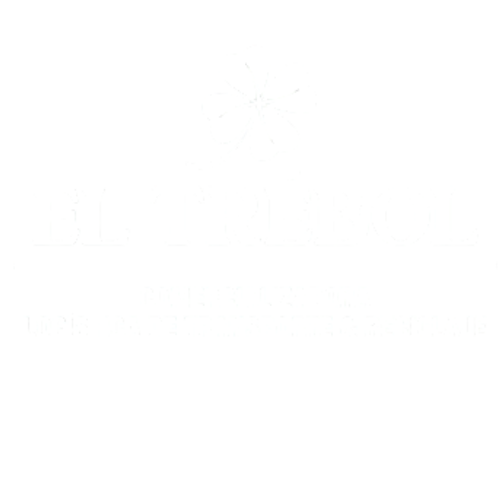Logo Repuestos El Trébol